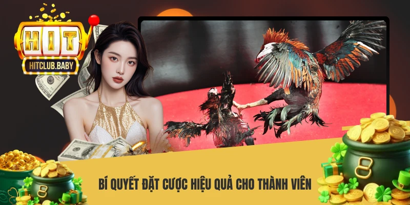 Bí quyết đặt cược hiệu quả cho thành viên