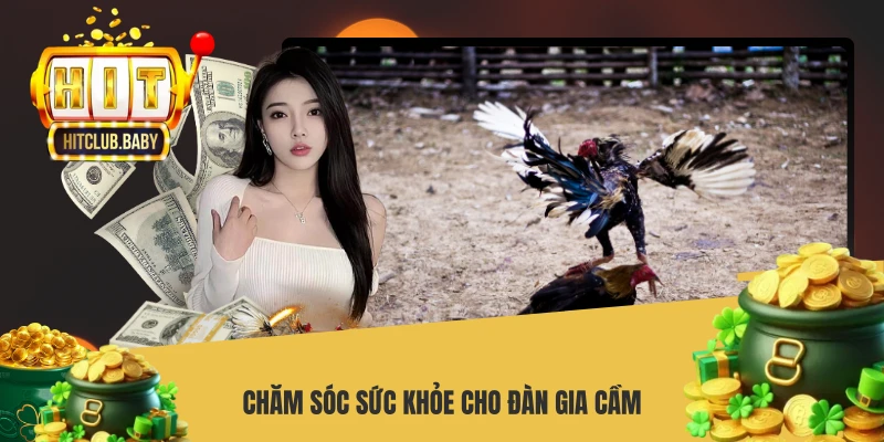 Chăm sóc sức khỏe cho đàn gia cầm