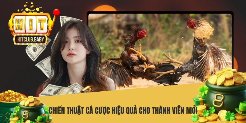 Chiến thuật cá cược hiệu quả cho thành viên mới