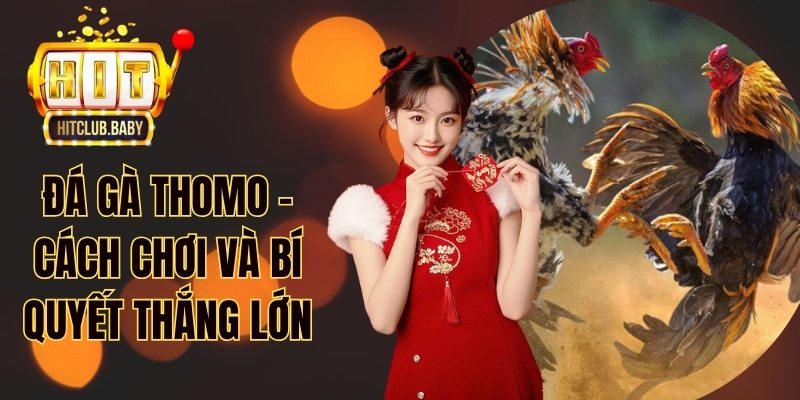 Đá gà Thomo