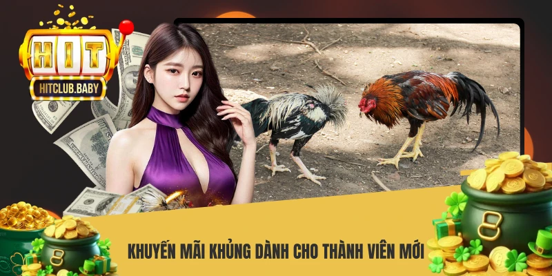 Khuyến mãi khủng dành cho thành viên mới