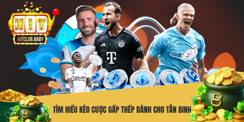 Tìm hiểu kèo cược gấp thếp dành cho tân binh