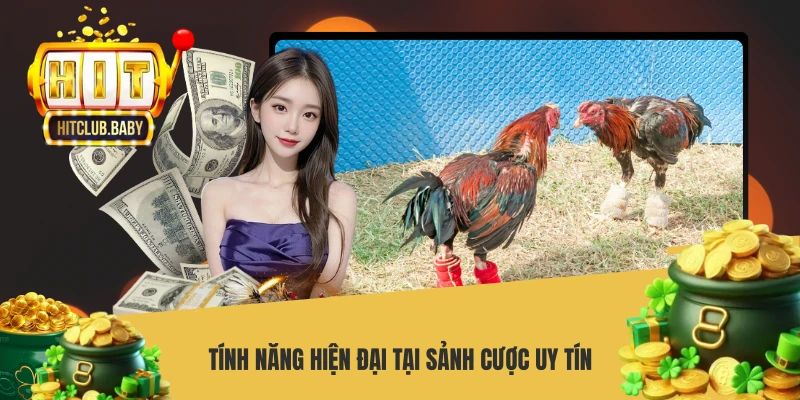 Tính năng hiện đại tại sảnh cược uy tín