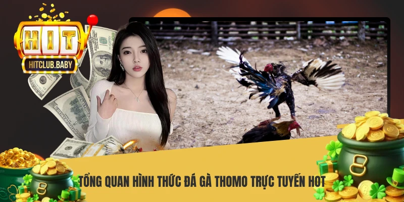 Tổng quan hình thức đá gà Thomo trực tuyến HOT